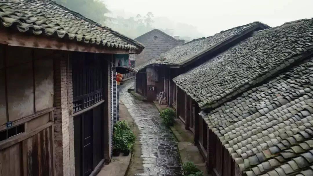 探寻马赛克怎么去看原图?,你所期待的知识星球平台